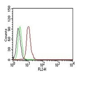 CCND1 / Cyclin D1 Antibody - Flow Cytometry testing of Jurkat cells. Black: cells alone; Green: isotype control; Red: PE-labeled Cyclin D1 antibody (clone SPM587).  This image was taken for the unmodified form of this product. Other forms have not been tested.