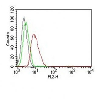 CCND1 / Cyclin D1 Antibody - Flow Cytometry testing of MCF-7 cells. Black: cells alone; Green: isotype control; Red: PE-labeled Cyclin D1 antibody (clone SPM587).  This image was taken for the unmodified form of this product. Other forms have not been tested.