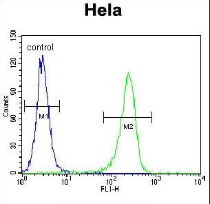 CCNH / Cyclin H Antibody - CCNH Antibody flow cytometry of HeLa cells (right histogram) compared to a negative control cell (left histogram). FITC-conjugated goat-anti-rabbit secondary antibodies were used for the analysis.