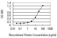 CCNT2 / Cyclin T2 Antibody - Detection limit for recombinant GST tagged CCNT2 is 0.3 ng/ml as a capture antibody.