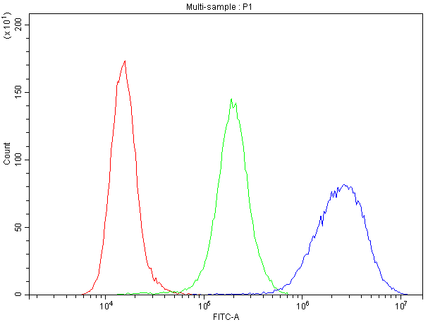 CCR3 Antibody - Flow Cytometry analysis of RAW264. 7 cells using anti-CCR3 antibody. Overlay histogram showing RAW264. 7 cells stained with anti-CCR3 antibody (Blue line). The cells were blocked with 10% normal goat serum. And then incubated with rabbit anti-CCR3 Antibody (1µg/10E6 cells) for 30 min at 20°C. DyLight®488 conjugated goat anti-rabbit IgG (5-10µg/10E6 cells) was used as secondary antibody for 30 minutes at 20°C. Isotype control antibody (Green line) was rabbit IgG (1µg/10E6 cells) used under the same conditions. Unlabelled sample (Red line) was also used as a control.
