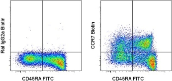 CCR7 Antibody - Staining of normal human peripheral blood cells with FITC anti-human CD45RA (HI100) (LS-C106037) and 1 ug of Biotin Rat IgG2a isotype control (left) or 1 ug of Biotin anti-human CCR7 (right) followed by Streptavidin-PE. Cells in the lymphocyte gate were used for analysis. This image was taken for the unconjugated form of this product. Other forms have not been tested.