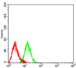 CCR7 Antibody - Flow cytometric analysis of HL-60 cells using CD197 mouse mAb (green) and negative control (red).