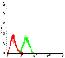 CCR7 Antibody - Flow cytometric analysis of HL-60 cells using CD197 mouse mAb (green) and negative control (red).