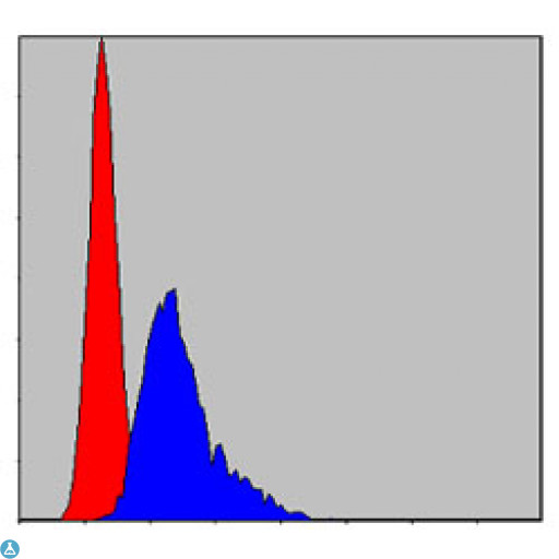 CCT2 / CCT Beta Antibody - Flow cytometric (FCM) analysis of NIH/3T3 cells using TCP-1 beta Monoclonal Antibody (blue) and negative control (red).