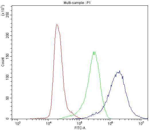 CCT3 Antibody - Flow Cytometry analysis of K562 cells using anti-CCT3 antibody. Overlay histogram showing K562 cells stained with anti-CCT3 antibody (Blue line). The cells were blocked with 10% normal goat serum. And then incubated with rabbit anti-CCT3 Antibody (1µg/10E6 cells) for 30 min at 20°C. DyLight®488 conjugated goat anti-rabbit IgG (5-10µg/10E6 cells) was used as secondary antibody for 30 minutes at 20°C. Isotype control antibody (Green line) was rabbit IgG (1µg/10E6 cells) used under the same conditions. Unlabelled sample (Red line) was also used as a control