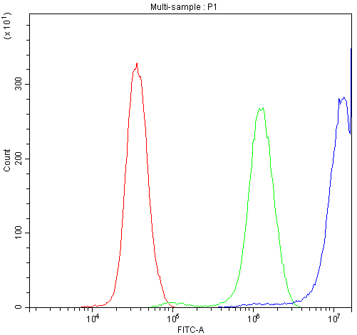 CCT3 Antibody - Flow Cytometry analysis of PC-3 cells using anti-CCT3 antibody. Overlay histogram showing PC-3 cells stained with anti-CCT3 antibody (Blue line). The cells were blocked with 10% normal goat serum. And then incubated with rabbit anti-CCT3 Antibody (1µg/10E6 cells) for 30 min at 20°C. DyLight®488 conjugated goat anti-rabbit IgG (5-10µg/10E6 cells) was used as secondary antibody for 30 minutes at 20°C. Isotype control antibody (Green line) was rabbit IgG (1µg/10E6 cells) used under the same conditions. Unlabelled sample (Red line) was also used as a control.