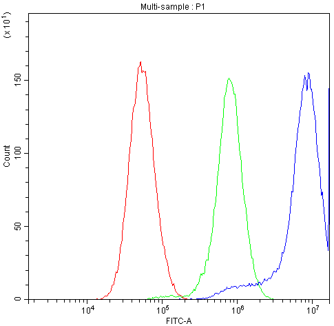 CCT3 Antibody - Flow Cytometry analysis of U251 cells using anti-CCT3 antibody. Overlay histogram showing U251 cells stained with anti-CCT3 antibody (Blue line). The cells were blocked with 10% normal goat serum. And then incubated with rabbit anti-CCT3 Antibody (1µg/10E6 cells) for 30 min at 20°C. DyLight®488 conjugated goat anti-rabbit IgG (5-10µg/10E6 cells) was used as secondary antibody for 30 minutes at 20°C. Isotype control antibody (Green line) was rabbit IgG (1µg/10E6 cells) used under the same conditions. Unlabelled sample (Red line) was also used as a control.