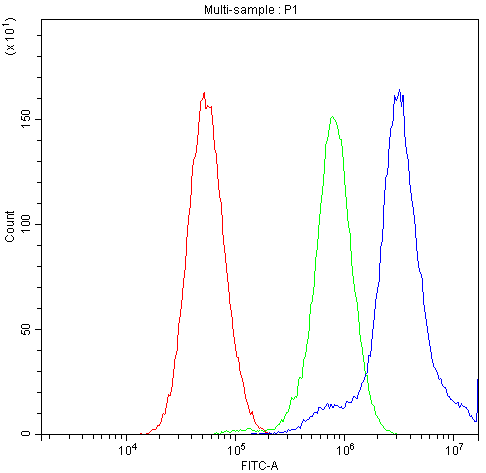 CCT4 / SRB Antibody - Flow Cytometry analysis of U251 cells using anti-CCT4 antibody. Overlay histogram showing U251 cells stained with anti-CCT4 antibody (Blue line). The cells were blocked with 10% normal goat serum. And then incubated with rabbit anti-CCT4 Antibody (1µg/10E6 cells) for 30 min at 20°C. DyLight®488 conjugated goat anti-rabbit IgG (5-10µg/10E6 cells) was used as secondary antibody for 30 minutes at 20°C. Isotype control antibody (Green line) was rabbit IgG (1µg/10E6 cells) used under the same conditions. Unlabelled sample (Red line) was also used as a control.