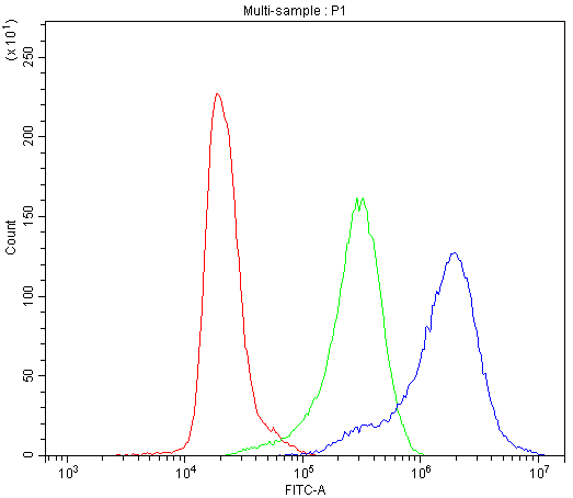 CCT4 / SRB Antibody - Flow Cytometry analysis of K562 cells using anti-CCT4 antibody. Overlay histogram showing K562 cells stained with anti-CCT4 antibody (Blue line). The cells were blocked with 10% normal goat serum. And then incubated with rabbit anti-CCT4 Antibody (1µg/10E6 cells) for 30 min at 20°C. DyLight®488 conjugated goat anti-rabbit IgG (5-10µg/10E6 cells) was used as secondary antibody for 30 minutes at 20°C. Isotype control antibody (Green line) was rabbit IgG (1µg/10E6 cells) used under the same conditions. Unlabelled sample (Red line) was also used as a control.