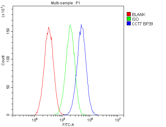 CCT7 Antibody - Flow Cytometry analysis of HepG2 cells using anti-CCT7 antibody. Overlay histogram showing HepG2 cells stained with anti-CCT7 antibody (Blue line). The cells were blocked with 10% normal goat serum. And then incubated with rabbit anti-CCT7 Antibody (1µg/10E6 cells) for 30 min at 20°C. DyLight®488 conjugated goat anti-rabbit IgG (5-10µg/10E6 cells) was used as secondary antibody for 30 minutes at 20°C. Isotype control antibody (Green line) was rabbit IgG (1µg/10E6 cells) used under the same conditions. Unlabelled sample (Red line) was also used as a control.