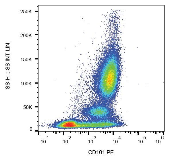 CD101 Antibody - Surface staining of human peripheral blood with anti-CD101 (BB27) PE.