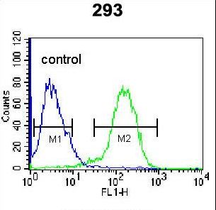 CD105 Antibody - ENG Antibody flow cytometry of 293 cells (right histogram) compared to a negative control cell (left histogram). FITC-conjugated goat-anti-rabbit secondary antibodies were used for the analysis.