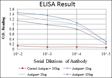 CD105 Antibody - ELISA: CD105 Antibody (3A9) - Red: Control Antigen (100ng); Purple: Antigen (10ng); Green: Antigen (50ng); Blue: Antigen (100ng).