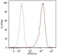 CD105 Antibody - CD105 Antibody in Flow Cytometry (Flow)