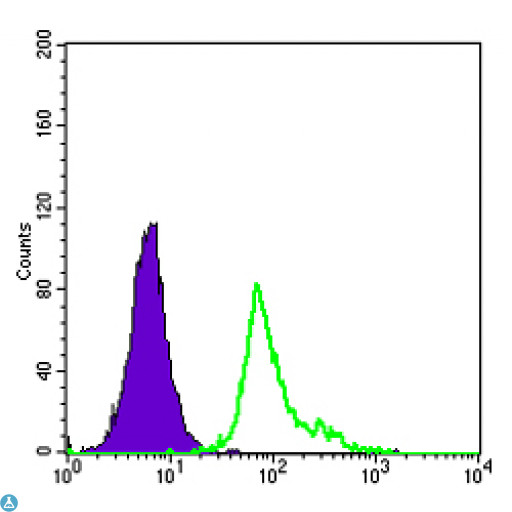 CD105 Antibody - Flow cytometric (FCM) analysis of HepG2 cells using CD105 Monoclonal Antibody (green) and negative control (purple).