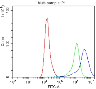 CD119 / IFNGR1 Antibody - Flow Cytometry analysis of A549 cells using anti-IFNGR1 antibody. Overlay histogram showing A549 cells stained with anti-IFNGR1 antibody (Blue line). The cells were blocked with 10% normal goat serum. And then incubated with rabbit anti-IFNGR1 Antibody (1µg/1x106 cells) for 30 min at 20°C. DyLight®488 conjugated goat anti-rabbit IgG (5-10µg/1x106 cells) was used as secondary antibody for 30 minutes at 20°C. Isotype control antibody (Green line) was rabbit IgG (1µg/1x106) used under the same conditions. Unlabelled sample (Red line) was also used as a control.