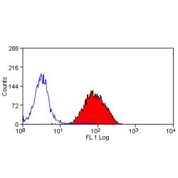 CD11R3 Antibody - Flow cytometry of porcine peripheral blood granulocytes with Mouse anti-Porcine CD11R3.  This image was taken for the unconjugated form of this product. Other forms have not been tested.