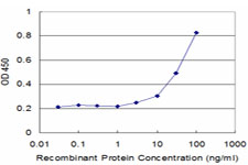 CD121b / IL1R2 Antibody - Detection limit for recombinant GST tagged IL1R2 is approximately 3 ng/ml as a capture antibody.