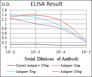 CD135 / FLT3 Antibody - Red: Control Antigen (100ng); Purple: Antigen (10ng); Green: Antigen (50ng); Blue: Antigen (100ng);