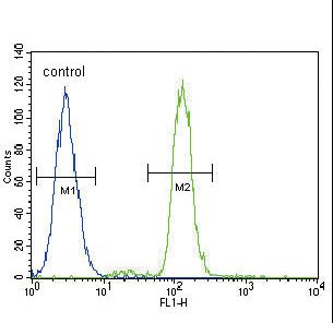 CD14 Antibody - CD14 Antibody flow cytometry of A549 cells (right histogram) compared to a negative control cell (left histogram). FITC-conjugated goat-anti-rabbit secondary antibodies were used for the analysis.