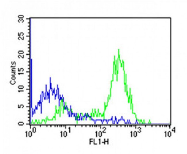 CD14 Antibody - Overlay histogram showing huuman peripheral blood monocytes stained with CD14 antibody (green line). The cells were icubated in 2% bovine serum albumin to block non-specific protein-protein interactions followed by the antibody (1:50 dilution) for 60min at 37°C. The secondary antibody used was Goat Anti-Mouse IgG, DyLight® 488 Conjugated Highly Cross-Adsorbed (OJ192088) at 1/200 dilution for 40min at 37°C. Isotype control antibody (blue line) was mouse IgG2b (1µg/1x10^6 cells) used under the same conditions. Acquisition of >10, 000 events was performed.