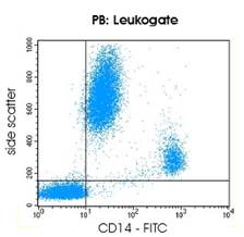 CD14 Antibody - CD14