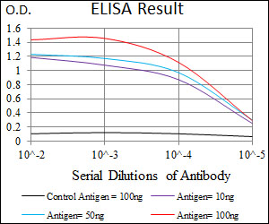 CD144 / CDH5 / VE Cadherin Antibody - Red: Control Antigen (100ng); Purple: Antigen (10ng); Green: Antigen (50ng); Blue: Antigen (100ng);