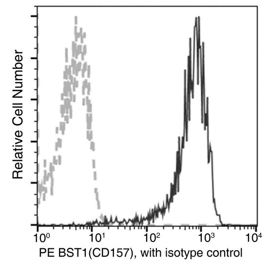 CD157 Antibody - Flow cytometric analysis of Human BST1(CD157) expression on human whole blood monocytes. Cells were stained with PE-conjugated anti-Human BST1(CD157). The fluorescence histograms were derived from gated events with the forward and side light-scatter characteristics of viable monocytes.