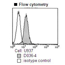 CD157 Antibody -  This image was taken for the unconjugated form of this product. Other forms have not been tested.