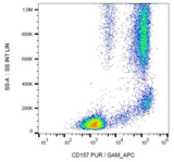 CD157 Antibody - Surface staining of human peripheral blood leukocytes with anti-human CD157 (SY11B5) purified / GAM-APC.