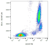 CD157 Antibody - Surface staining of human peripheral blood leukocytes with anti-human CD157 (SY11B5) PE.