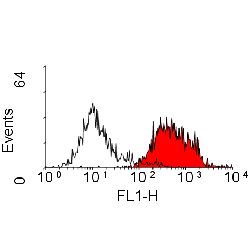 CD163 Antibody - Flow cytometry of rat peritoneal macrophages with Mouse anti-Rat CD163: FITC This image was taken for the unconjugated form of this product. Other forms have not been tested.