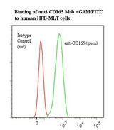 CD165 Antibody - Flow cytometry of CD165 antibody This image was taken for the unmodified form of this product. Other forms have not been tested.