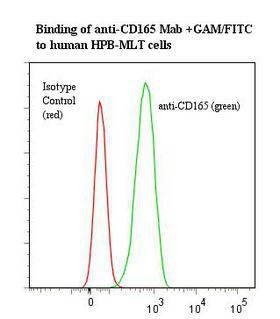 CD165 Antibody - Flow cytometry of CD165 antibody This image was taken for the unmodified form of this product. Other forms have not been tested.
