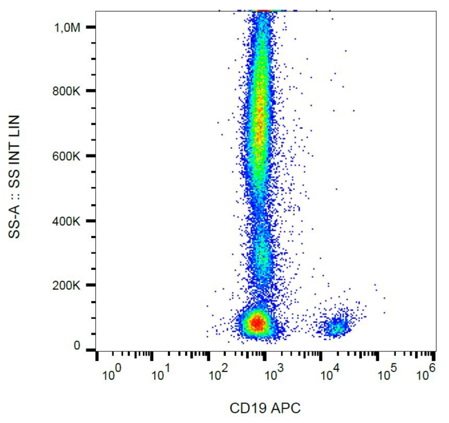CD19 Antibody - Surface staining of human peripheral blood leukocytes with anti-human CD19 (4G7) APC.