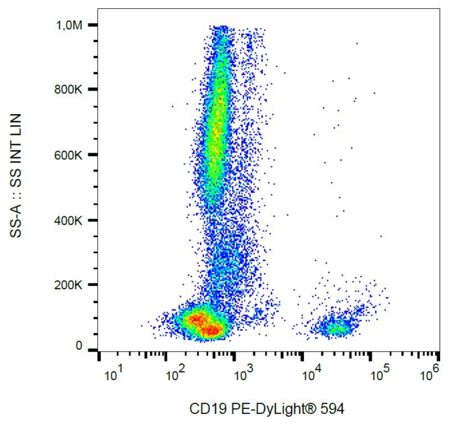 CD19 Antibody - Surface staining of human peripheral blood leukocytes with anti-human CD19 (4G7).
