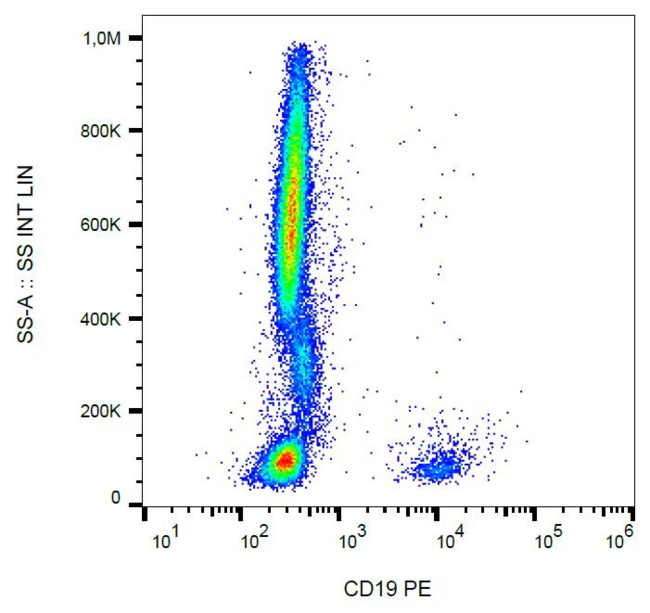 CD19 Antibody - Surface staining of human peripheral blood leukocytes with anti-human CD19 (4G7) PE.