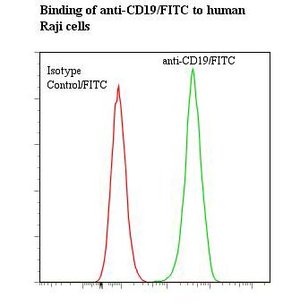 CD19 Antibody - Flow cytometry of CD19 antibody This image was taken for the unconjugated form of this product. Other forms have not been tested.