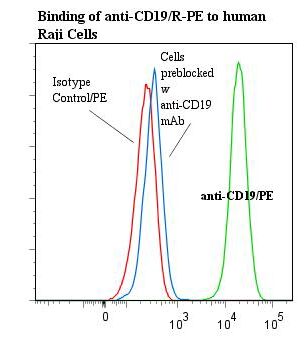 CD19 Antibody - Flow cytometry of CD19 antibody This image was taken for the unconjugated form of this product. Other forms have not been tested.
