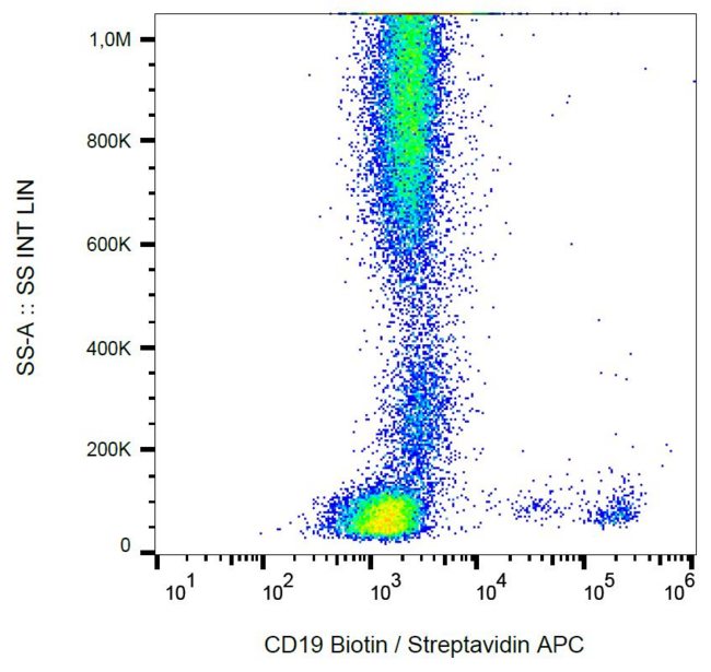 CD19 Antibody - Surface staining of human peripheral blood cells with anti-human CD19 (LT19) biotin.  