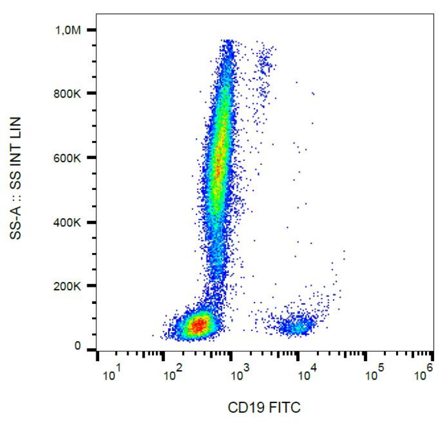 CD19 Antibody - Surface staining of human peripheral blood cells with anti-human CD19 (LT19) FITC. 
