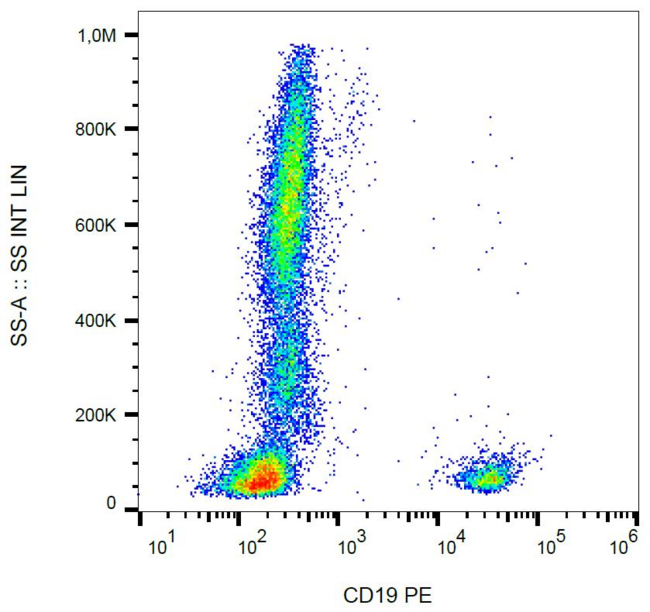 CD19 Antibody - Surface staining of human peripheral blood cells with anti-human CD19 (LT19) PE. 