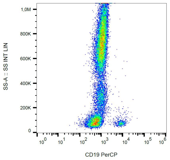 CD19 Antibody - Surface staining of human peripheral blood cells with anti-human CD19 (LT19) PerCP. 