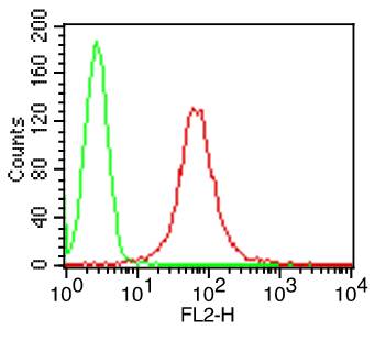 CD1A Antibody - Fig-1: Cell Surface flow analysis of hCD1a in Molt-4 Cells using 1 µg/10^6 cells. Green represents isotype control; red represents anti-hCD1a antibody (, clone: CBT6). Goat anti-mouse PE conjugated secondary antibody was used.