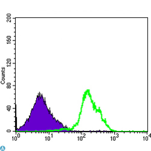 CD1A Antibody - Flow cytometric (FCM) analysis of RAJI cells using CD1A Monoclonal Antibody (green) and negative control (purple).