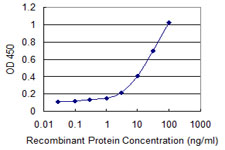 CD1B Antibody - Detection limit for recombinant GST tagged CD1B is 0.3 ng/ml as a capture antibody.