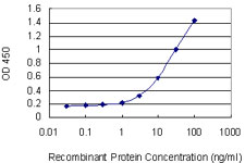 CD1C Antibody - Detection limit for recombinant GST tagged CD1C is 0.3 ng/ml as a capture antibody.