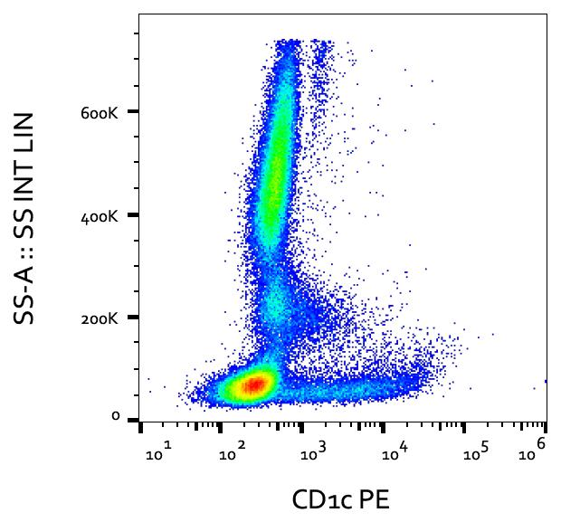 CD1C Antibody - Surface staining of human peripheral blood cells with anti-human CD1c (clone L161) PE.