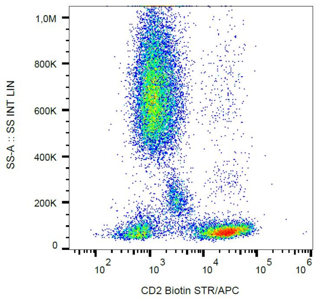 CD2 Antibody - Surface staining of human peripheral blood with anti-human CD2 (MEM-65) biotin, streptavidin-APC.